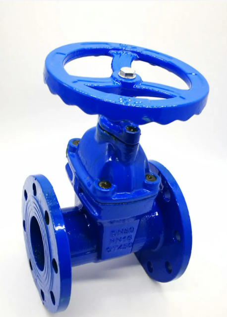 给大家讲一下什么是弹性座封闸阀？