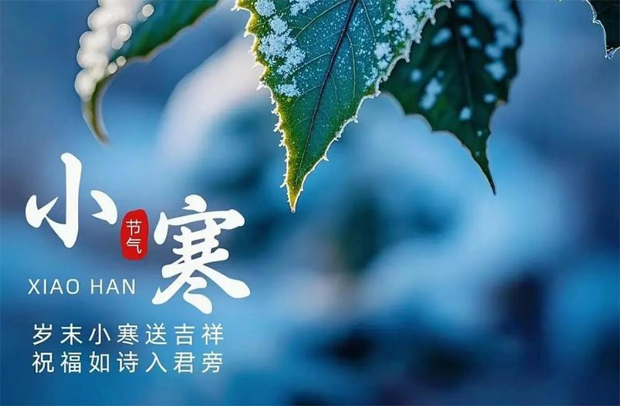 风吹腊梅香，小寒送吉祥(图文)